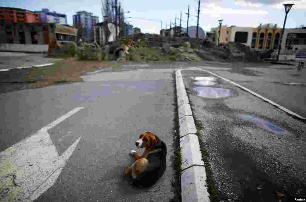 Mitrovica, 19. mart 2013. Foto: REUTERS / Marko Đurica 