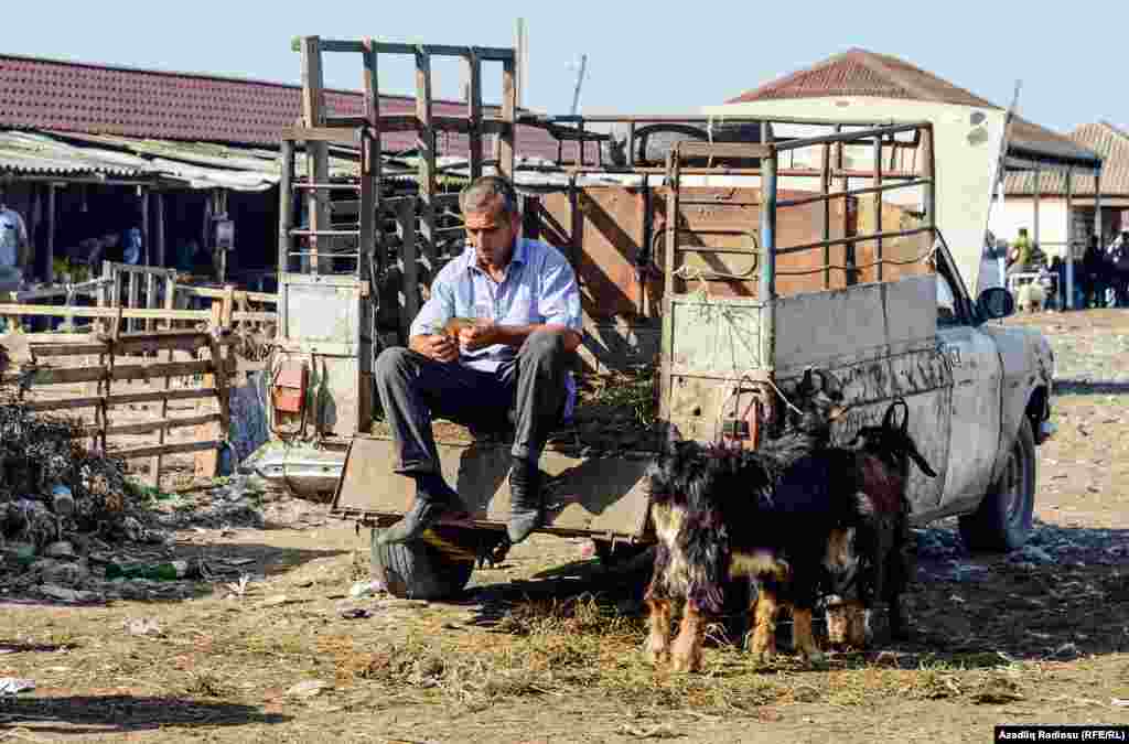Satılan satılıdı, geriyə iki keçi qaldı. 