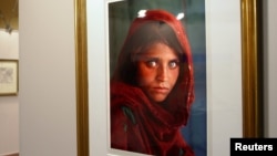 Fotografia e vajzës afgane Sharbat Gula e cila u bë e njohur nga ballina e revistës National Geographic