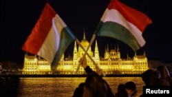 Людина тримає угорські прапори на березі Дунаю напроти будівлі парламенту у Будапешті, Угорщина, 12 квітня 2026 року.