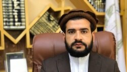 سید محمد شیرزادی، رئیس حج و اوقاف هرات