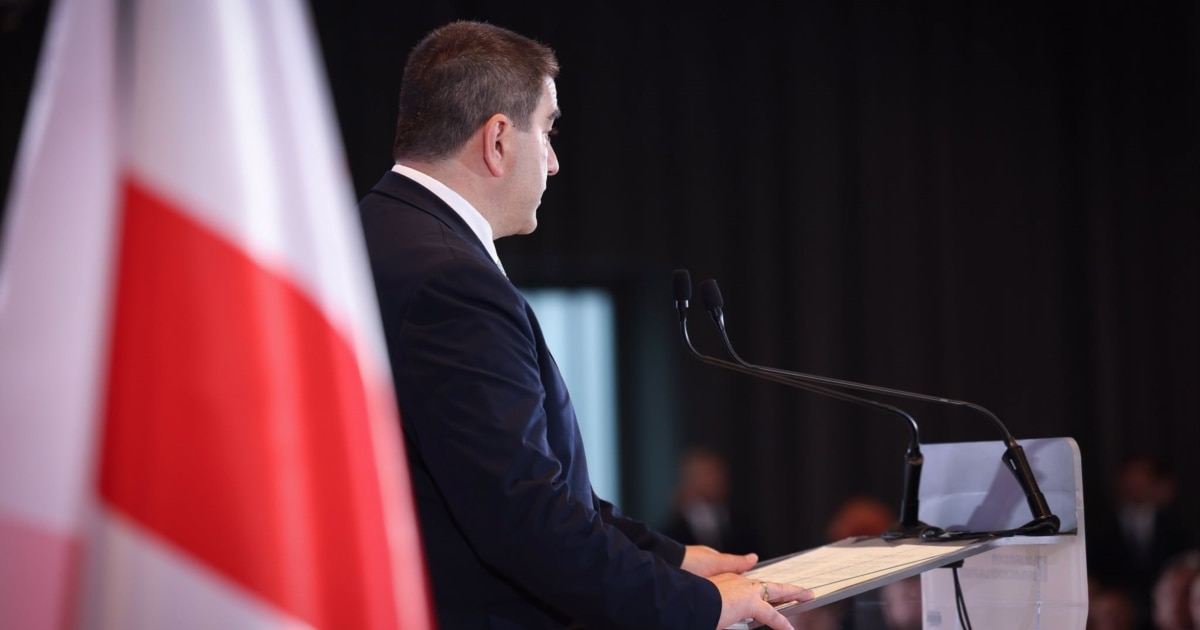 დასახელდა დეპუტატები, რომლებიც „ოცნების“ პოზიციას საკონსტიტუციოში დაიცავენ