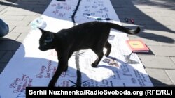 Четверта річниця арешту кримчан Олега Сенцова і Олександра Кольченко, акція у Києві, 10 травня 2018 року