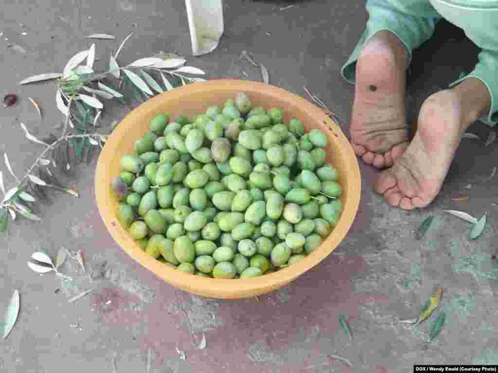 Wendy Ewald, Green Olives, 2013