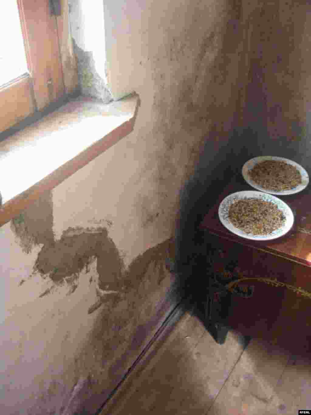 Köçkün düşərgələri #11