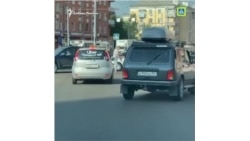 Таксист помог утятам перейти дорогу в Красноярске