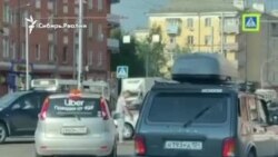 Таксист помог утятам перейти дорогу в Красноярске