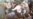 Angry Mob Kills Woman In Kabul