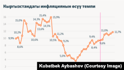 Кыргызстандагы инфляциянын өсүү динамикасын көрсөткөн инфографика.