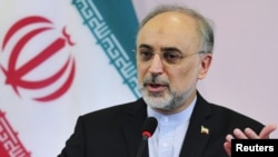 Iranian Foreign Minister Ali Akbar Salehi 
