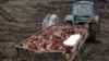 Bird Flu Reported In Eight Regions Of Southern Russia