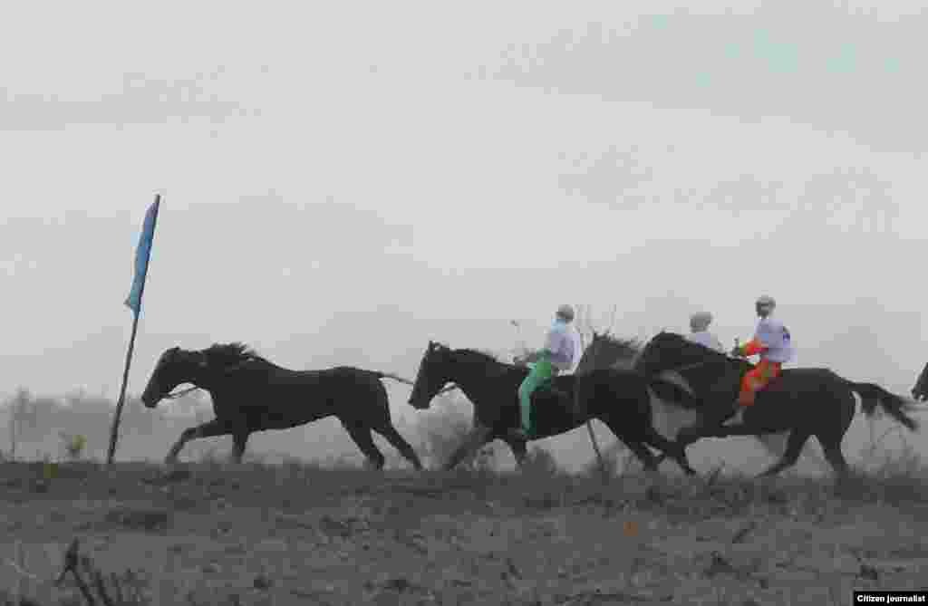 На конных скачках. Фото Болата Омаралиева, Кызылорда.