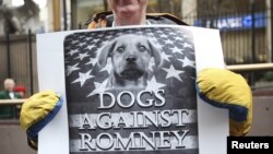 New Yorkda "İtlər Romney-ə qarşı" aksiyası. 14 fevral, 2012