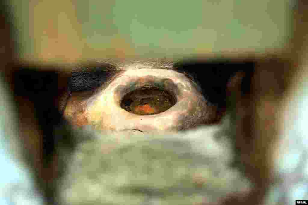 Təmirə ehtiyaclı tarixi abidələr #31