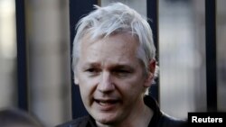 WikiLeaks founder Julian Assange