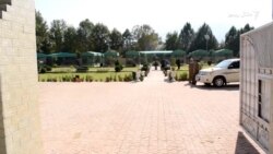 باجوړ کې د رنګارنګ مرغانو ساتنځی