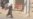 Taliban Security Forces Fire On Afghan Women's Rights Protesters GRAB