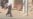 Taliban Security Forces Fire On Afghan Women's Rights Protesters GRAB