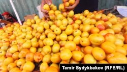 Иллюстрациялык сүрөт. 