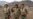 Casualties Reported In Attack On Basij Base In Southern Iran