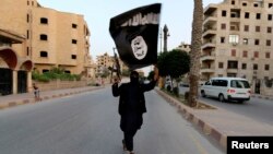 A member loyal to the Islamic State in Iraq and the Levant (ISIL) waves an ISIL flag in Raqqa, Iraq.