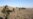 Activists Say Russians Forced Into Army