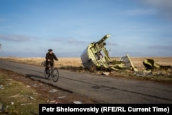 Localnic trecând pe lângă epava avionului malaezian lângă Grabovo village,estul Ucrainei, 11 nov., 2014.