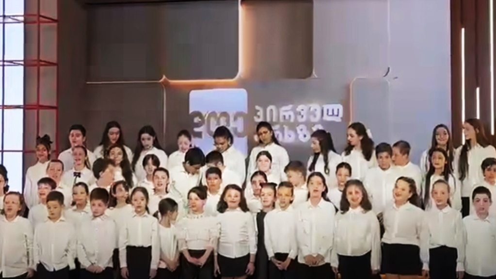 კადრი ვიდეოდან, ბავშვების რეაცია 10 წლის ანკას ვარდნისას