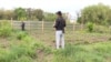 Как у аграрного университета Кыргызстана отобрали часть питомника