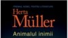 Herta MULLER. Animalul inimii