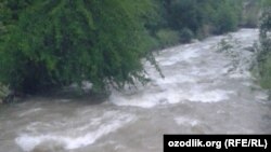 Река «Чодаксой» в Намаганской области, архивное фото.
