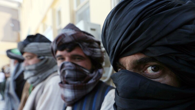 پېښور کې د افغان طالبانو يو مشر غړی نيول شوی