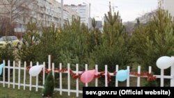 Ялинковий ринок у Севастополі