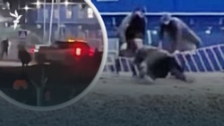 Ресейдегі төбелес, тасқын қаупі, Трампқа қарсылық — AzatNEWS l 30.03.2026