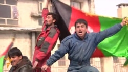 Afghans Celebrate First Victory In Cricket World Cup