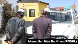 ارشیف، عکس تزئیني بڼه لري
