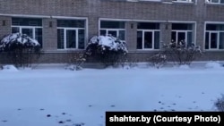 Кажаны на сьнезе каля гімназіі ў Салігорску