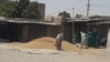 وزارت مالیه طالبان: تعدادی از تاجران گندم را احتکار کرده اند