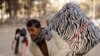 طالبان: خپلو اصلي مېنو ته د کورنیو بې ځایه شوېو لېږدول پیل شول