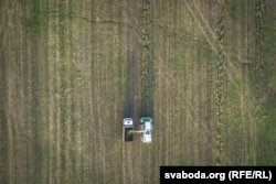 Уборачная кампанія ў Беларусі. Архіўнае фота