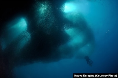 Сексуалды леггинстер