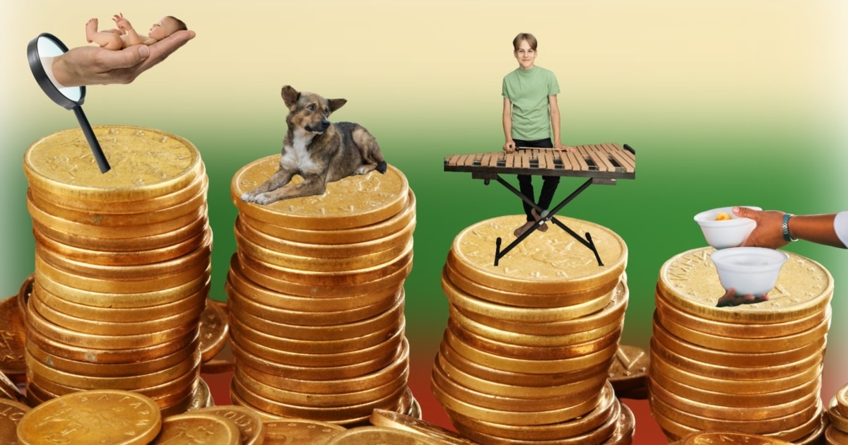 Всяка стотинка помага на хора и животни в беда. Това