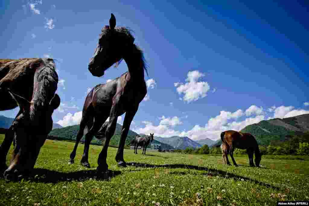 İsmayıllının Qafqaz dağları ətəyində yerləşən Qalacıq kəndi. 