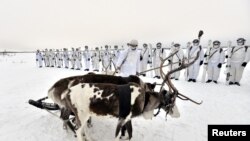 Rusiya arktik motoatıcı diviziyasının hərbçiləri Murmansk ətrafında təlim zamanı, 23 yanvar 2017 года