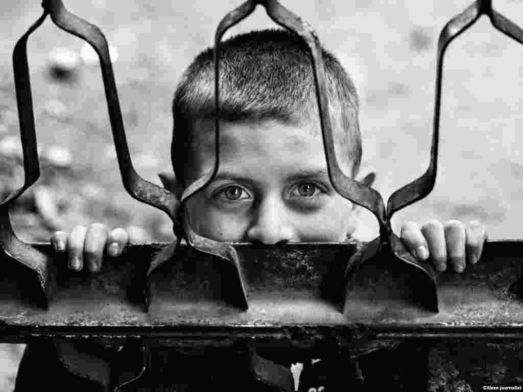 171 ლაშა გვაზავა: უსათაურო