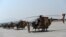 An Afghan pilot stands next to a line of U.S.-made MD-530 helicopters in Kabul.