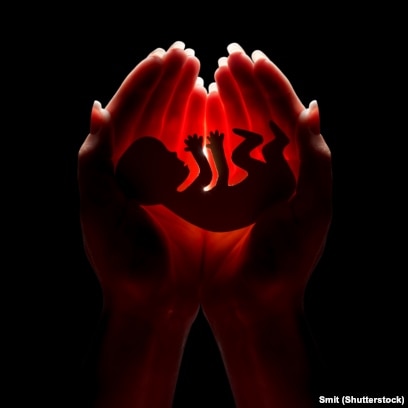 Slave BDSM сағаты