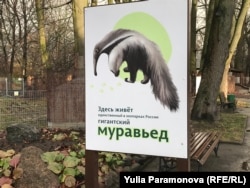 Калининградский зоопарк
