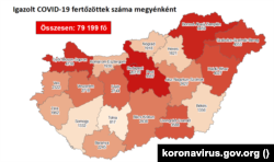 Number of confirmed COVID-19 infected by county in Hungary on November 1, 2020.