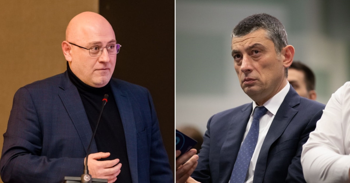 „ოცნების“ კომისიაზე არმისვლის შეთანხმება მართლაც შედგა, ვწუხვარ თუ კოორდინაცია დავაზიანე - ცქიტიშვილი გახარიას მისვლის შემდეგ